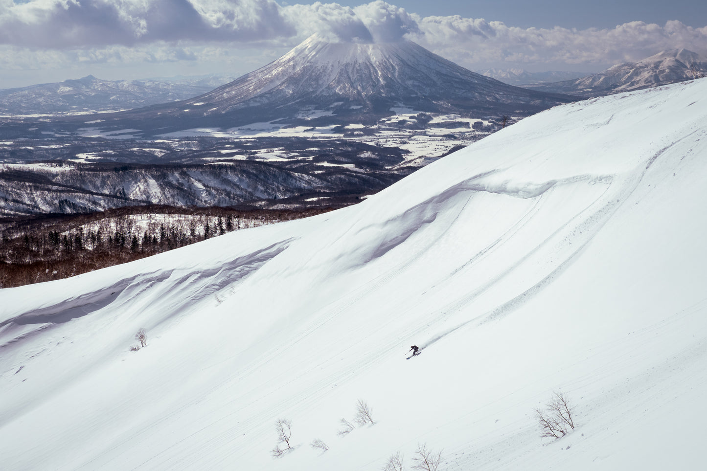 Japan: Advanced Camp