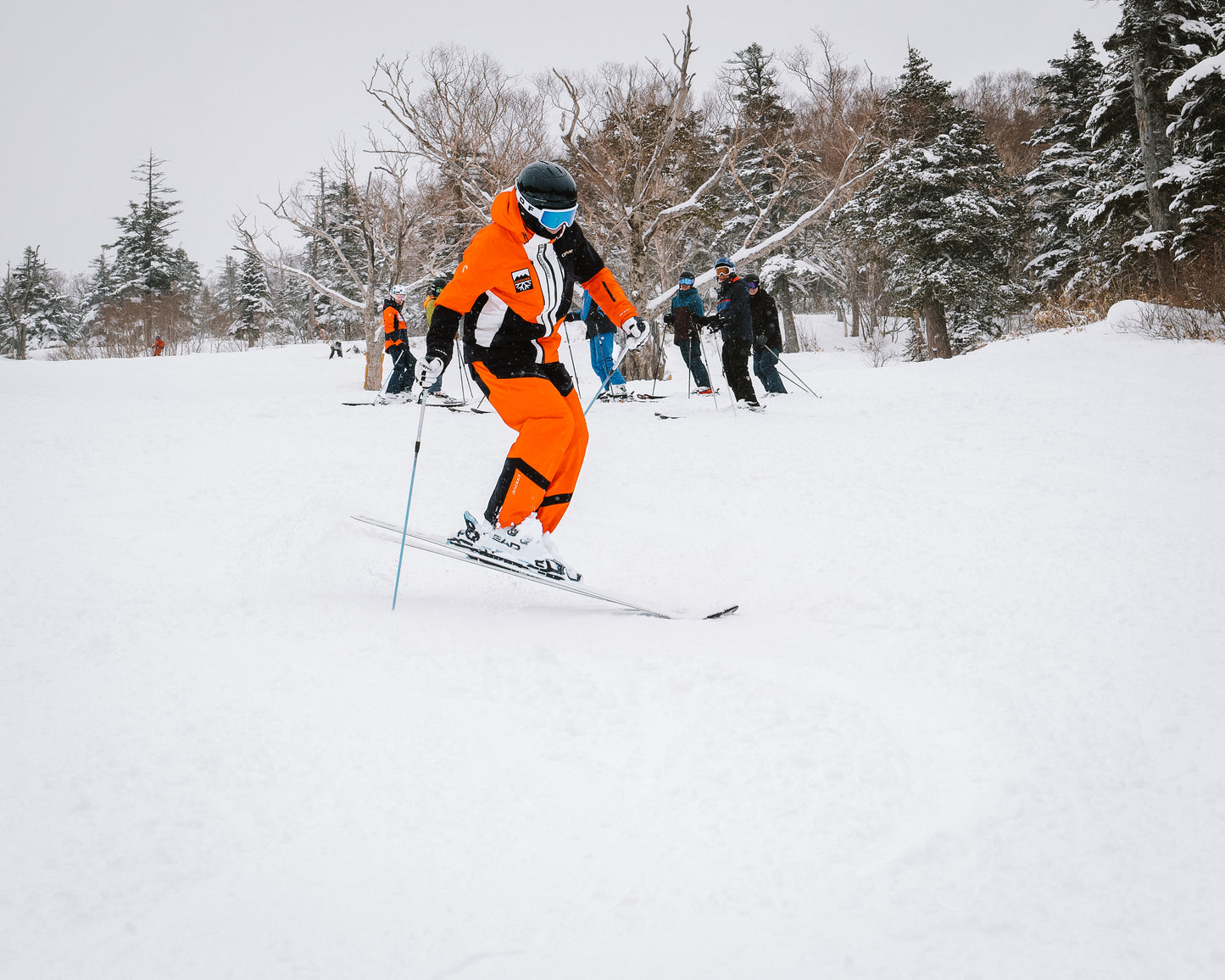 Japan: Advanced Camp