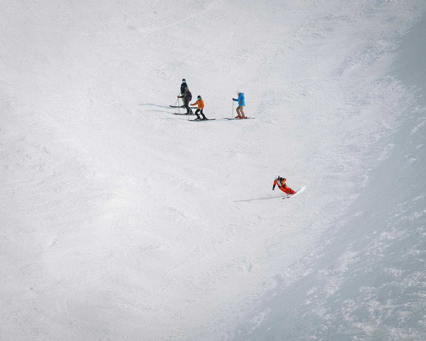 NZ: 5-Week CSIA Level 3 Course: With Lead Trainer Guy Dale