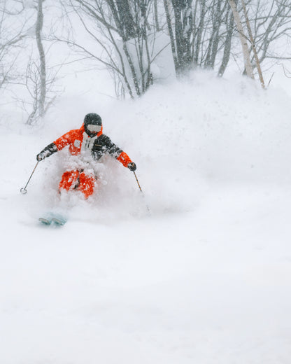 Japan: 12 day, Level 2 Instructor training course - With PSIE Level 2 exam, Kamui Ski Links