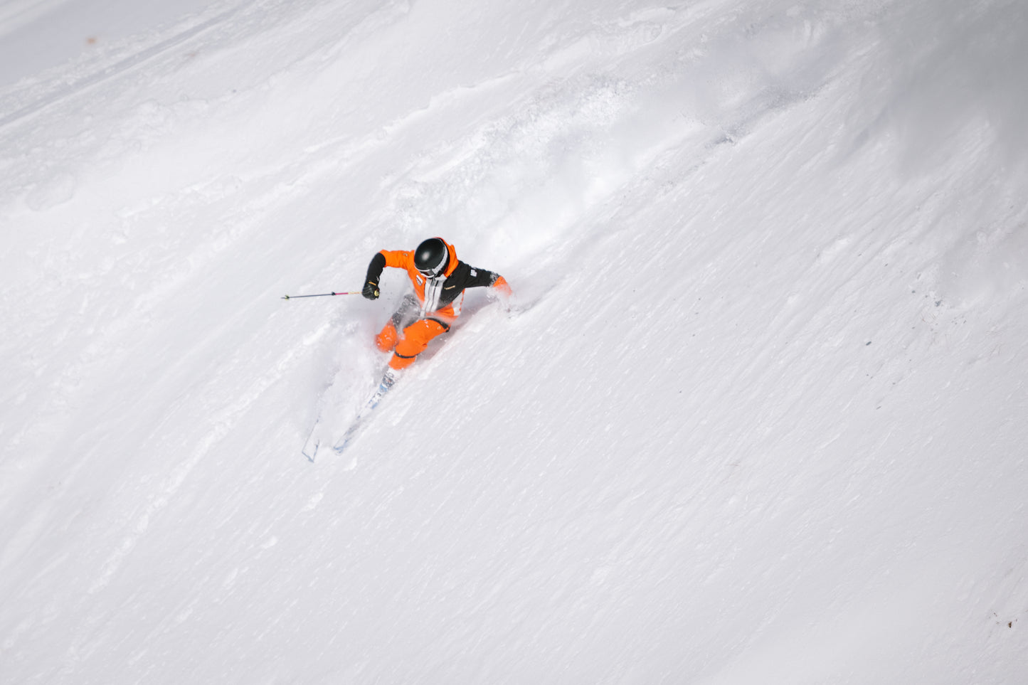 NZ: 5-Week Austrian Instructor Course: Level 1 and 2 or Landes 1