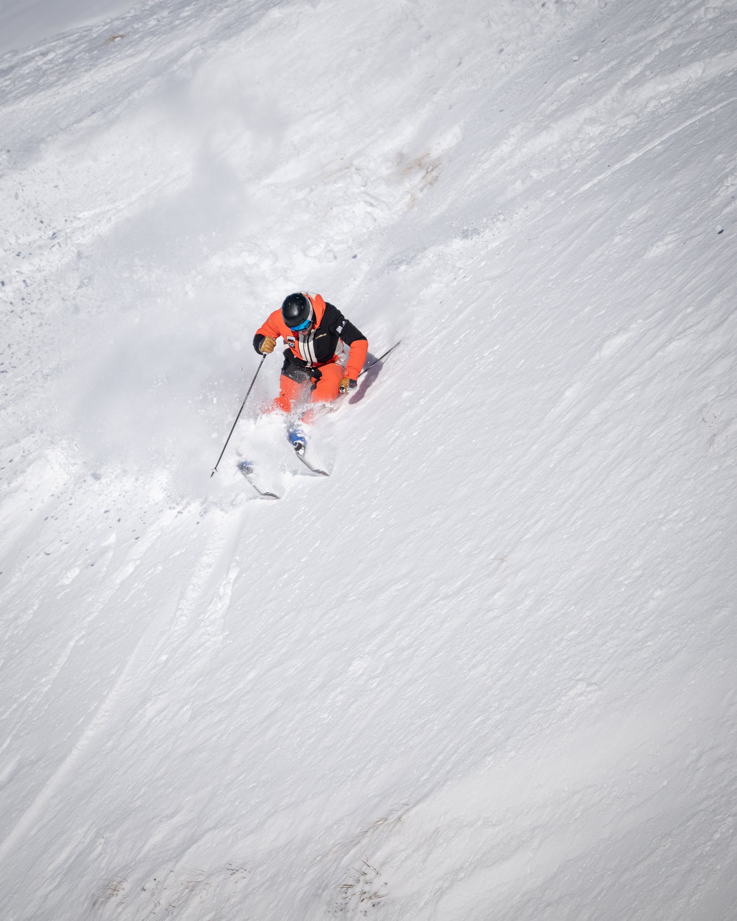 NZ: 1-Week Elite Camp